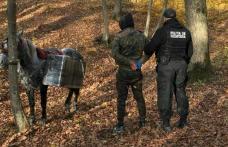Țigări de contrabandă transportate cu calul! 3.000 pachete de țigări confiscate de polițiștii de frontieră dorohoieni