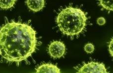 Virusul care provoacă cea mai mare mortalitate din Europa. Afectează atât femeile, cât și bărbații