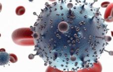 Virusuri care provoacă leucemie se răspândesc cu viteză uimitoare