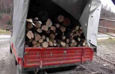Transport ilegal de lemne confiscat de polițiștii botoșăneni
