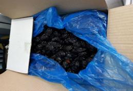 Sute de kilograme de prune uscate confiscate de poliţiştii de frontieră botoșăneni - FOTO