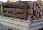 Transport-lemne-de-foc