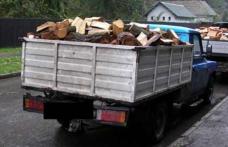 Transport ilegal de lemn, oprit pe DJ 291 D. Poliţiştii din Pomârla au confiscat 4,8 mc material lemnos