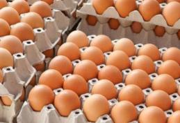 Lidl România a eliminat din întregul sortiment de produse ouăle provenite de la găini crescute în baterii 