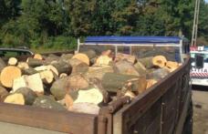 Material lemnos fără documente legale confiscat de poliţişti pe raza comunei Mihăileni