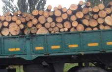 Transport de lemne, cu iz penal descoperit de Poliţiştii Biroului Rutier Dorohoi