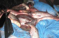 Dosar penal după ce au fost prinşi la furat de peşte, dintr-o acumulare piscicolă