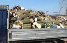 Material lemnos confiscat de poliţişti pe raza oraşului Ştefăneşti