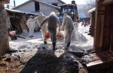 Pesta porcină africană a fost confirmată într-o gospodărie din județul Botoșani - FOTO