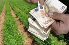 Veste bună pentru fermierii din Botoșani – vor fi bani pentru campania de primăvară