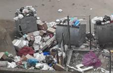 Primim la redacție – Ridicarea gunoiului a devenit o problemă în Dorohoi – FOTO