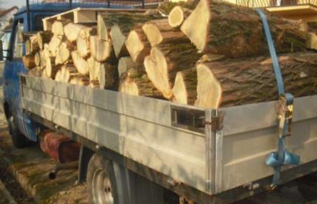 Transport de lemn fără acte oprite de polițiști la Hilișeu Horia