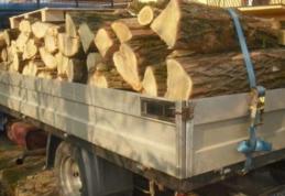 Material lemnos fără documente legale confiscat la Ibănești