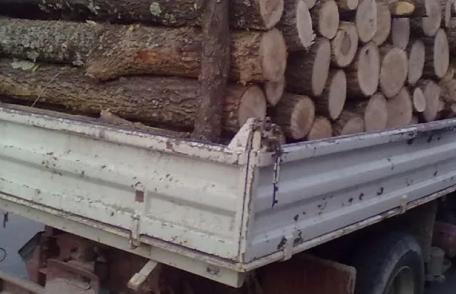 Autoutilitară cu material lemnos fără documente depistată la Brăești