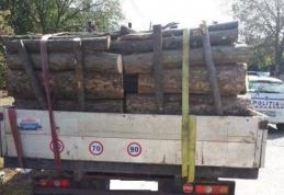 Transport ILEGAL de lemne, oprit de polițiștii botoșăneni. AMENDĂ de 1.000 de lei. Lemne CONFISCATE