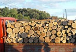 Peste 20 de metri cubi de material lemnos confiscați la Flămânzi 