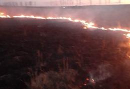 Aproape cinci hectare de vegetație uscată au ars din cauza unui foc lăsat nesupravegheat