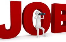 AJOFM Botoșani: 3.689 persoane și-au găsit un loc de muncă prin intermediul instituției