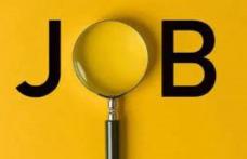 AJOFM Botoșani a publicat lista cu peste 460 de locuri de muncă vacante. Evoluție în scădere a numărului de joburi disponibile