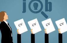 AJOFM Botoșani a publicat lista locurilor de muncă vacante. Sunt disponibile peste 250 de joburi