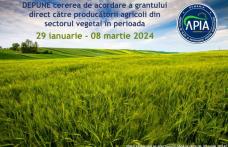 APIA: Depunere cereri de acordare a grantului direct destinat producătorilor agricoli din sectorul vegetal
