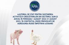 APIA primește cereri de ajutor de stat pentru susținerea activității crescătorilor din sectorul suin și avicol. Vezi termenul limită!