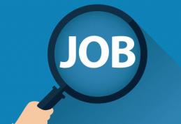AJOFM: Peste 400 de locuri de muncă disponibile în județul Botoșani. Vezi lista joburilor neocupate!