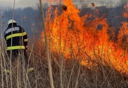 Un bărbat din Mlenăuți a primit o amendă imensă pentru arderea resturilor vegetale. Vezi ce prevede legea în astfel de cazuri!