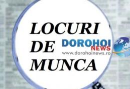 Locuri de muncă vacante la nivelul județului Botoșani la începutul lunii aprilie