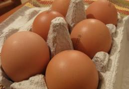 Preţul unui ou de găină a crescut cu 50% într-o săptămână