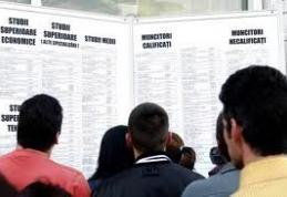 10.328 persoane aflate in cautarea unui loc de munca in Judetul Botosani la sfrsitul lunii septembrie