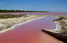 Un fenomen natural extraordinar: Lacul din Franţa care a devenit roşu ca sângele 