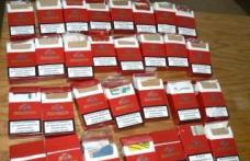 Trafic ilegal de ţigări depistat la Păltiniş 