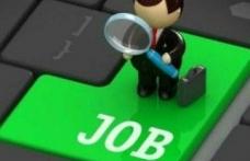 Peste 500 de dorohoieni se aflau în căutarea unui loc de muncă la sfârșitul lunii ianuarie 2013