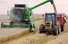 După ce a exportat, România importă acum grâu cu 30% mai scump