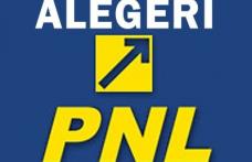 Alegeri atăzi în Organizația Județeană PNL Botoșani