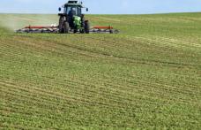 Statul pune limită la hectarele de teren arabil