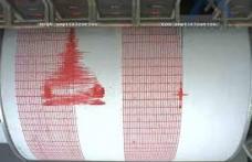 Un cutremur cu magnitudinea 3,6 grade pe scara Richter s-a produs miercuri dimineață în zona Vrancea