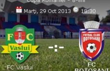 FC Botoşani întâlnește astăzi în optimile Cupei României pe SC Vaslui. Vezi programul!