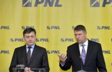 PNL cântă pe două voci la vârful partidului în privința regionalizării