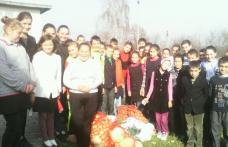 Voluntariat în campania „Săptămâna legumelor și fructelor donate” la Școala Văculești