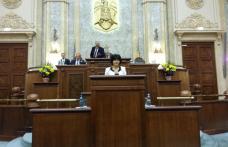 Inițiativa legislativă a senatorului PSD Doina Federovici privind dialogul social a fost adoptată de Senat