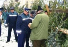 Brazi confiscați de polițiștii botoșăneni în cadrul acțiunii pentru combaterea ilegalităților în domeniul silvic
