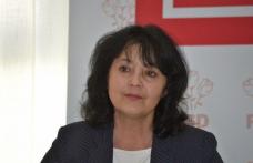 Minodora Cliveti: Parlamentul European respecta si apara mobilitatea lucratorilor in UE