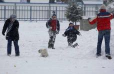 Cod galben de ninsori, polei şi vânt în Botoșani și alte nouă judeţe din est