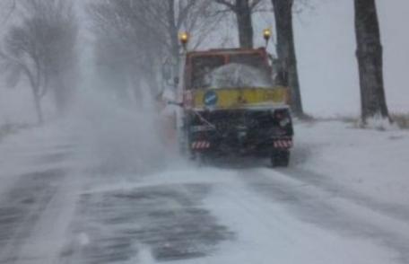 Meteorologii au extins avertizarea! Județul Botoșani sub incidența CODULUI GALBEN de ninsori și viscol