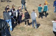Acțiune de voluntariat a elevilor și profesorilor de la Liceul Al. Vlahuță Șendriceni - FOTO