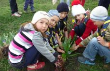 Să învățăm de la natură! – activitate la Şcoala Primară nr. 2 Sauceniţa - FOTO