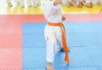 cupa Karate Tiger013