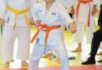 cupa Karate Tiger029